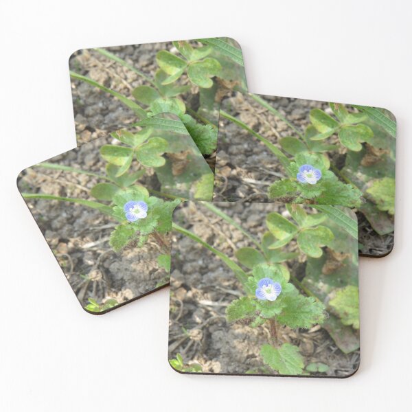 Item preview, Persian speedwell flower designed and sold by greentiger1.