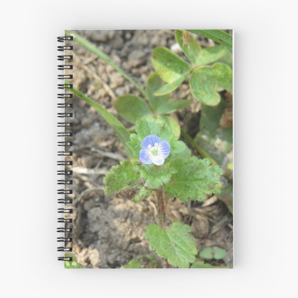Item preview, Persian speedwell flower designed and sold by greentiger1.
