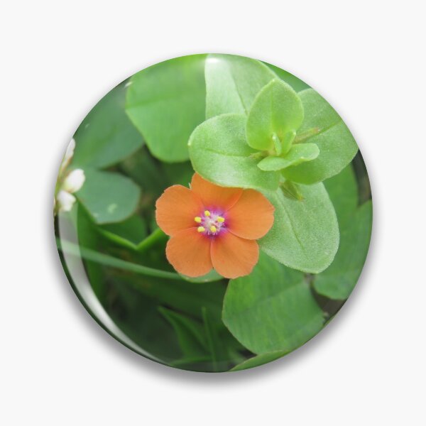 Item preview, Scarlet pimpernel flower designed and sold by greentiger1.