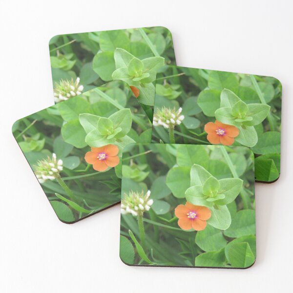 Item preview, Scarlet pimpernel flower designed and sold by greentiger1.