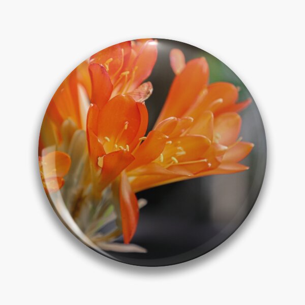Item preview, Orange bush lily flower on the plastic pot designed and sold by FCEalin.