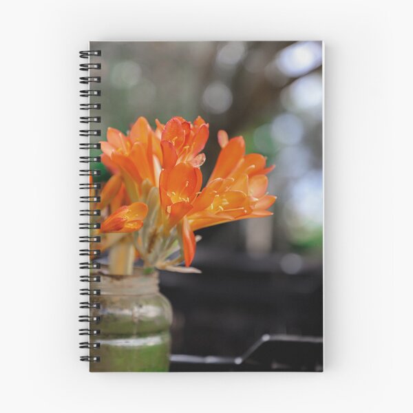 Item preview, Orange bush lily flower on the plastic pot designed and sold by FCEalin.