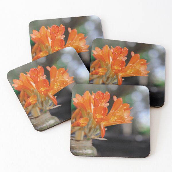 Item preview, Orange bush lily flower on the plastic pot designed and sold by FCEalin.
