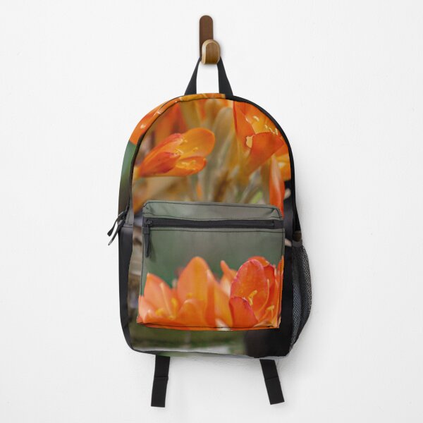 Item preview, Orange bush lily flower on the plastic pot designed and sold by FCEalin.
