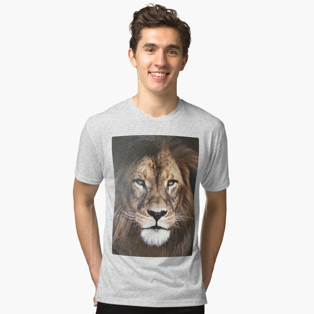 Item preview, Tri-blend T-Shirt designed and sold by starchim01.