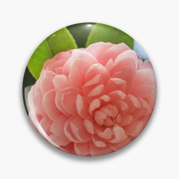 Artikelvorschau, Schöne rosa Kamelienblume auf dem Baum entworfen und verkauft von FCEalin.