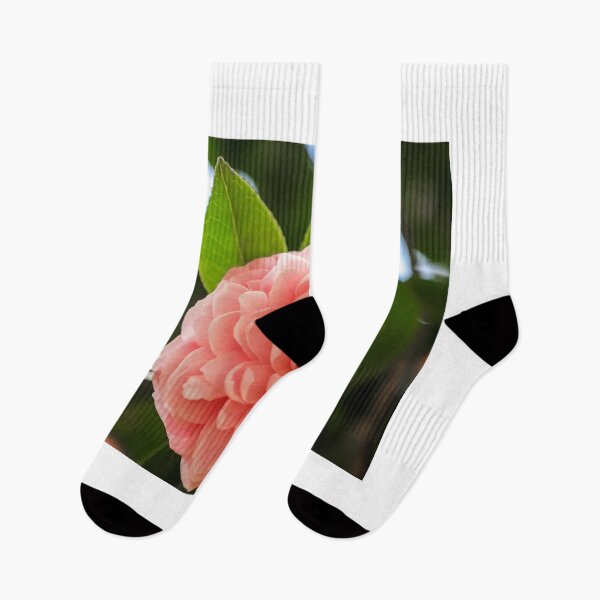 Item preview, Beautiful pink Camellia flower on the tree designed and sold by FCEalin.