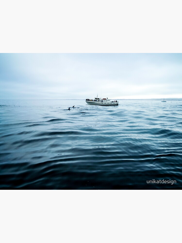 Dolphins in open sea by unikatdesign