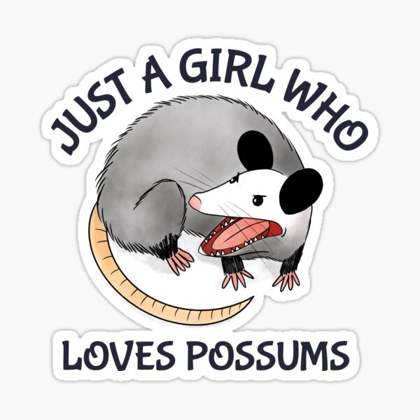 Just A Girl Who Loves Possums Funny Design Sticker For Sale By Boopsblunt Redbubble 1083