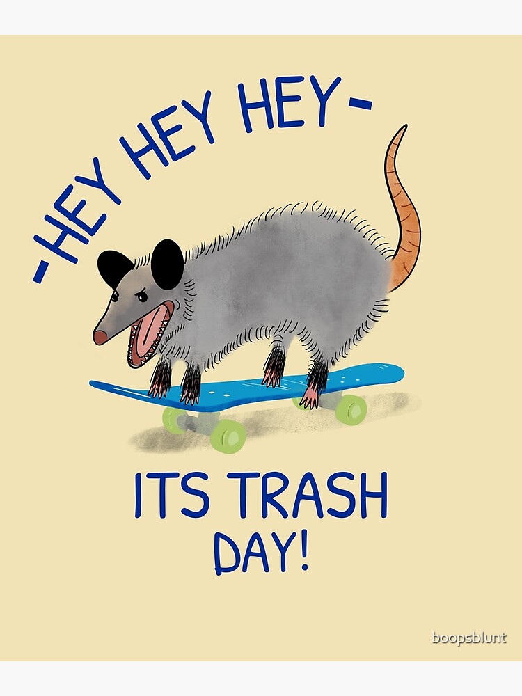 Here for the Trash Talking Funny Possum Design Poster for Sale by  boopsblunt