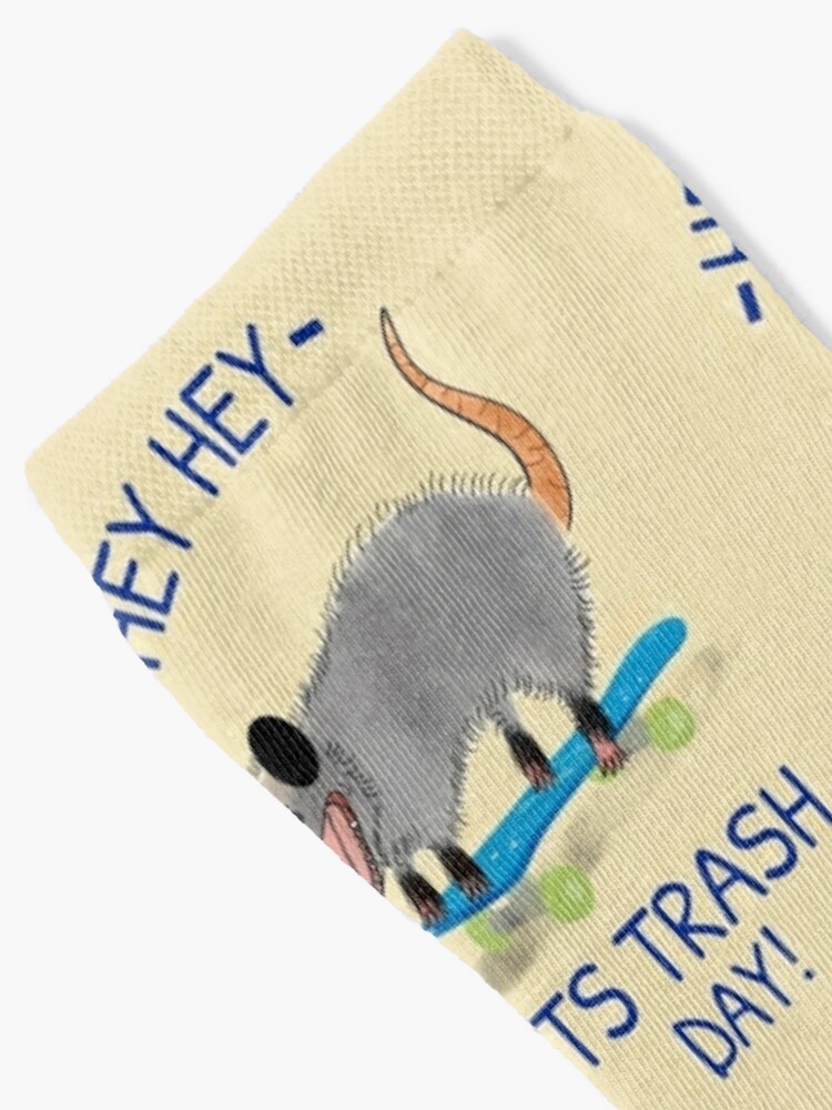 Here for the Trash Talking Funny Possum Design Poster for Sale by  boopsblunt