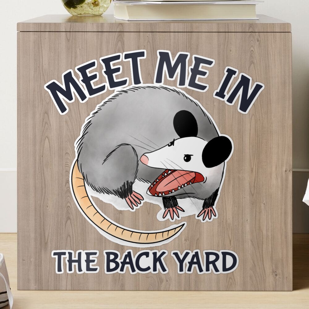 Here for the Trash Talking Funny Possum Design Poster for Sale by  boopsblunt