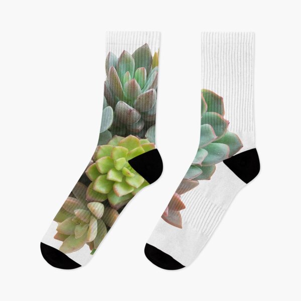 Item preview, Succulent Bunch  designed and sold by panattar.