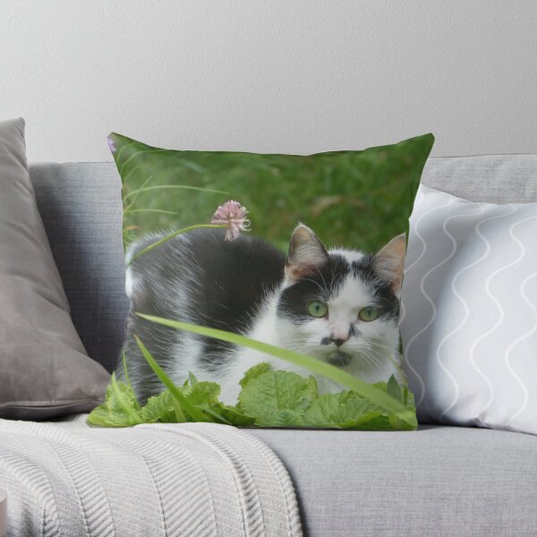 Sitting Comfortably Throw Pillow