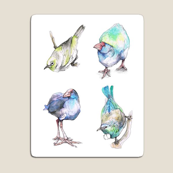 New Zealand Birds Magnet