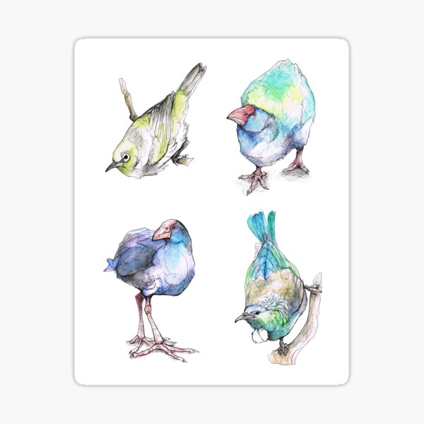 New Zealand Birds Sticker