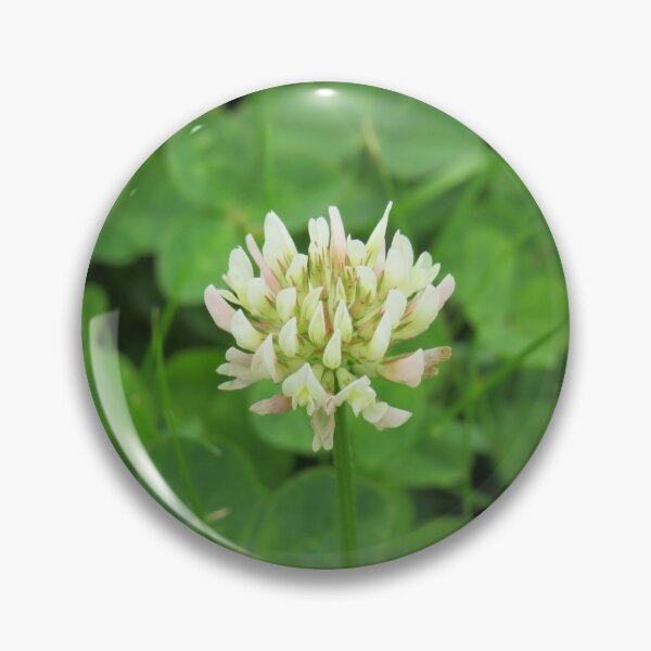 Item preview, White clover designed and sold by greentiger1.