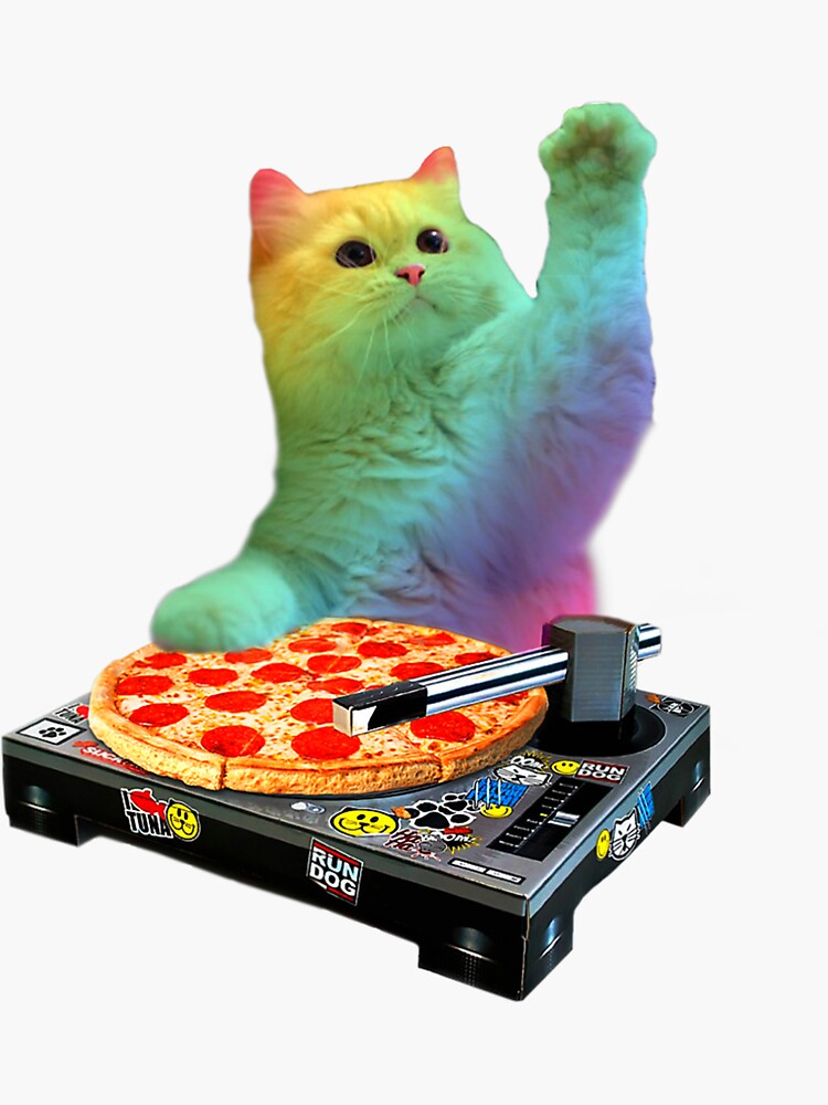 Dj Cat Shirt Cat Dj Pizza Edm Music Cute White Kitty Tee Dj Cat Shirt Cat Dj Pizza Edm Music Cute White Kitty Tee
