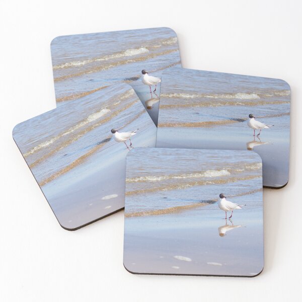 Item preview, Seagull standing on one leg on the seacoast near water designed and sold by lena-maximova.