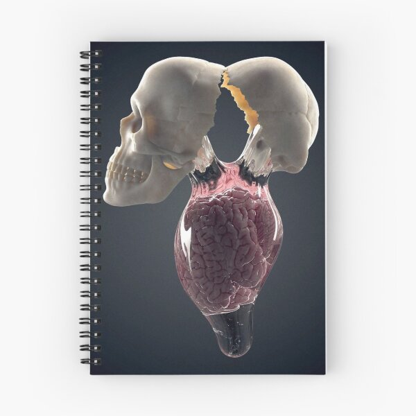 Item preview, Brain  designed and sold by StiXiS.
