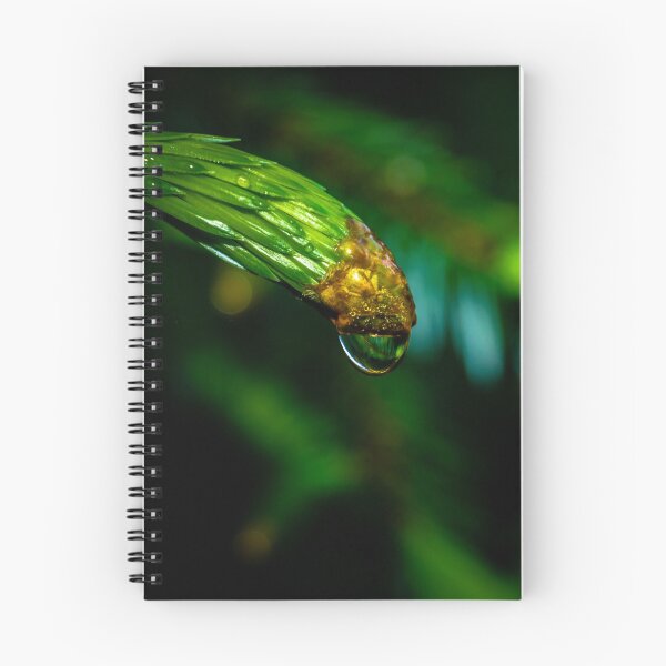 Item preview, Macro shot of a reflective drop of water on a pine branch in an Irish forest park in the morning designed and sold by AlbertMi.