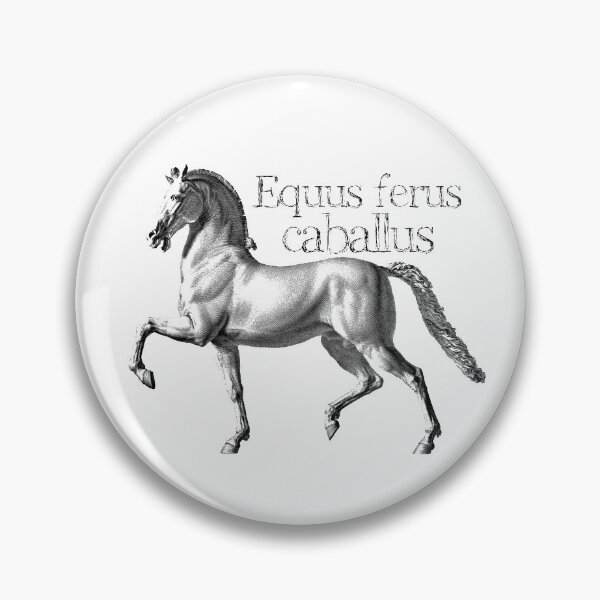 Item preview, Horse, Equus ferus caballus. designed and sold by angelisart.