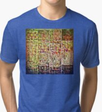 Cognitive Mapping Tri-blend T-Shirt