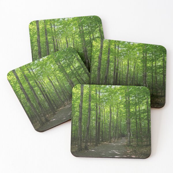 Item preview, Forest Bathing - Summertime Walk on a Calming Shady Path designed and sold by Georgia Mizuleva.