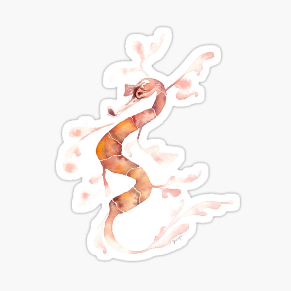 Leafy Sea Dragon Sticker