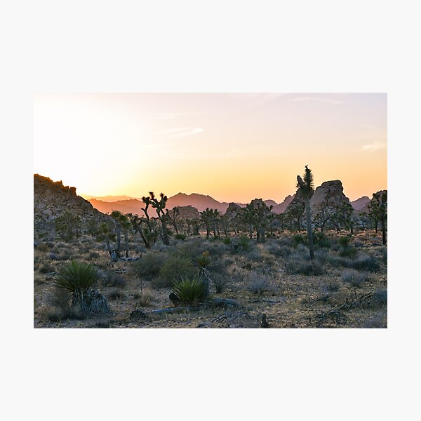 Item preview, Joshua Tree National Park, California designed and sold by Mike Kunes.