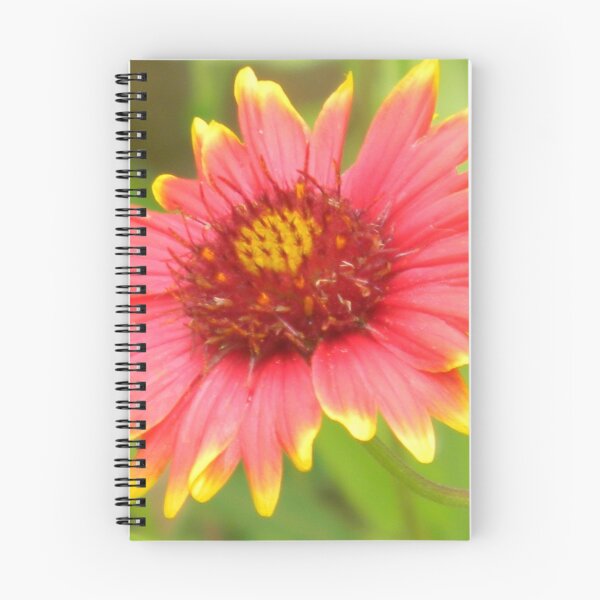 Item preview, Soggy But Beautiful - Firewheel, Indian Blanket designed and sold by Navigator.