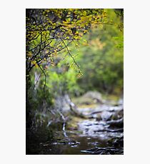 Life is a journey, not a destination Photographic Print