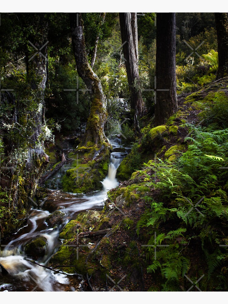 The silence of contemplation by MelBrackstone