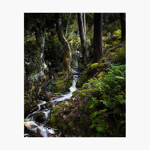 The silence of contemplation Photographic Print