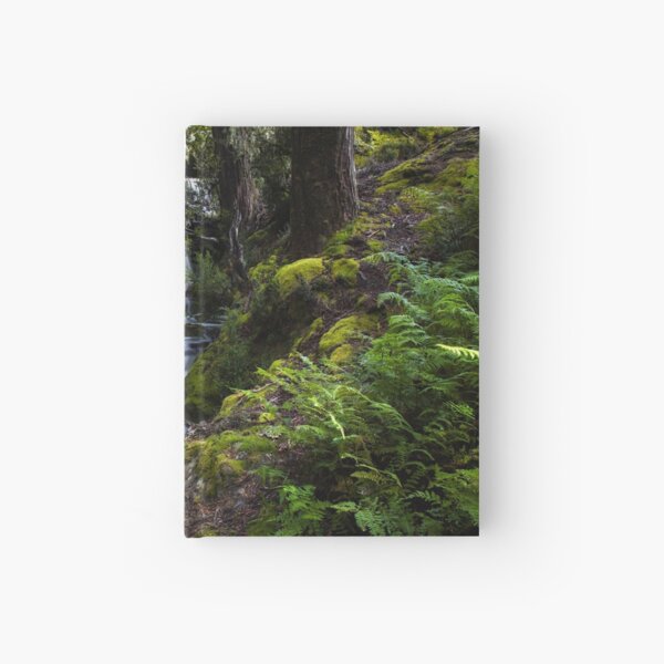 The silence of contemplation Hardcover Journal