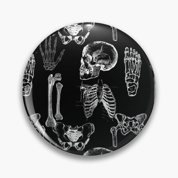Item preview, Old Anatomy Sketches// Atlas of Anatomy// Medical Design// designed and sold by allexieee.