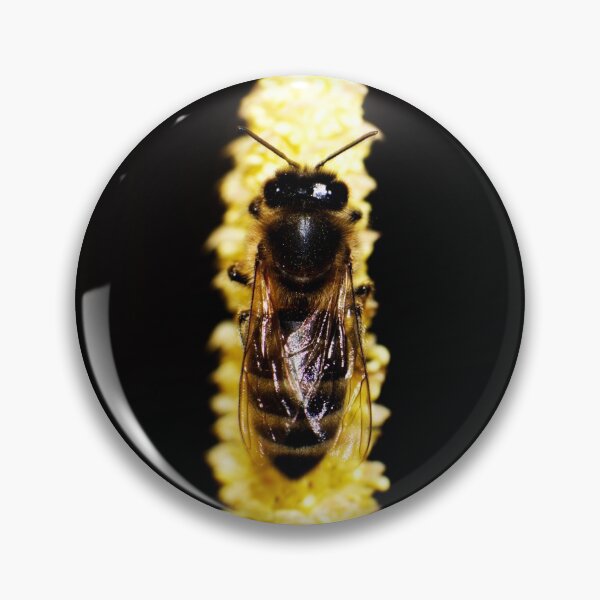 Item preview, Bee on yellow catkin designed and sold by Michaelerch.