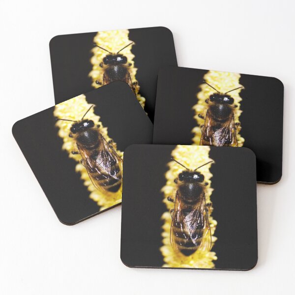 Item preview, Bee on yellow catkin designed and sold by Michaelerch.