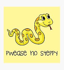 Pwease no steppy Photographic Print