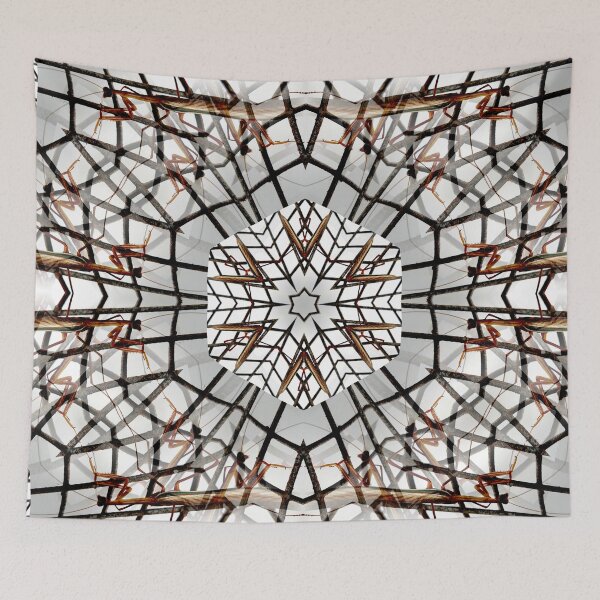 Item preview, Prey and Reflect designed and sold by Geoff Treagus.