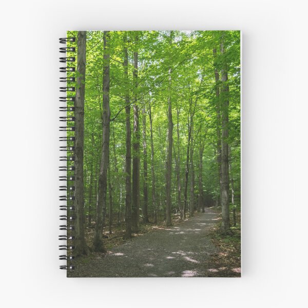 Item preview, Forest Bathing - Summertime Walk on a Calming Shady Path designed and sold by Georgia Mizuleva.