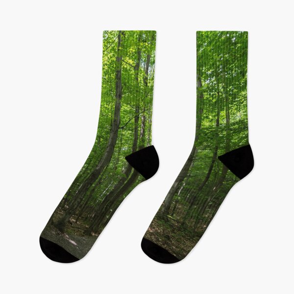 Item preview, Forest Bathing - Summertime Walk on a Calming Shady Path designed and sold by Georgia Mizuleva.