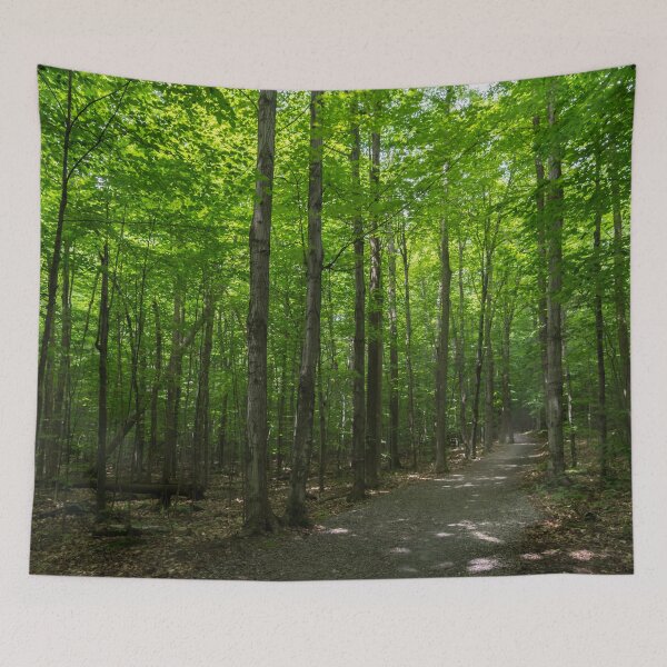 Item preview, Forest Bathing - Summertime Walk on a Calming Shady Path designed and sold by Georgia Mizuleva.