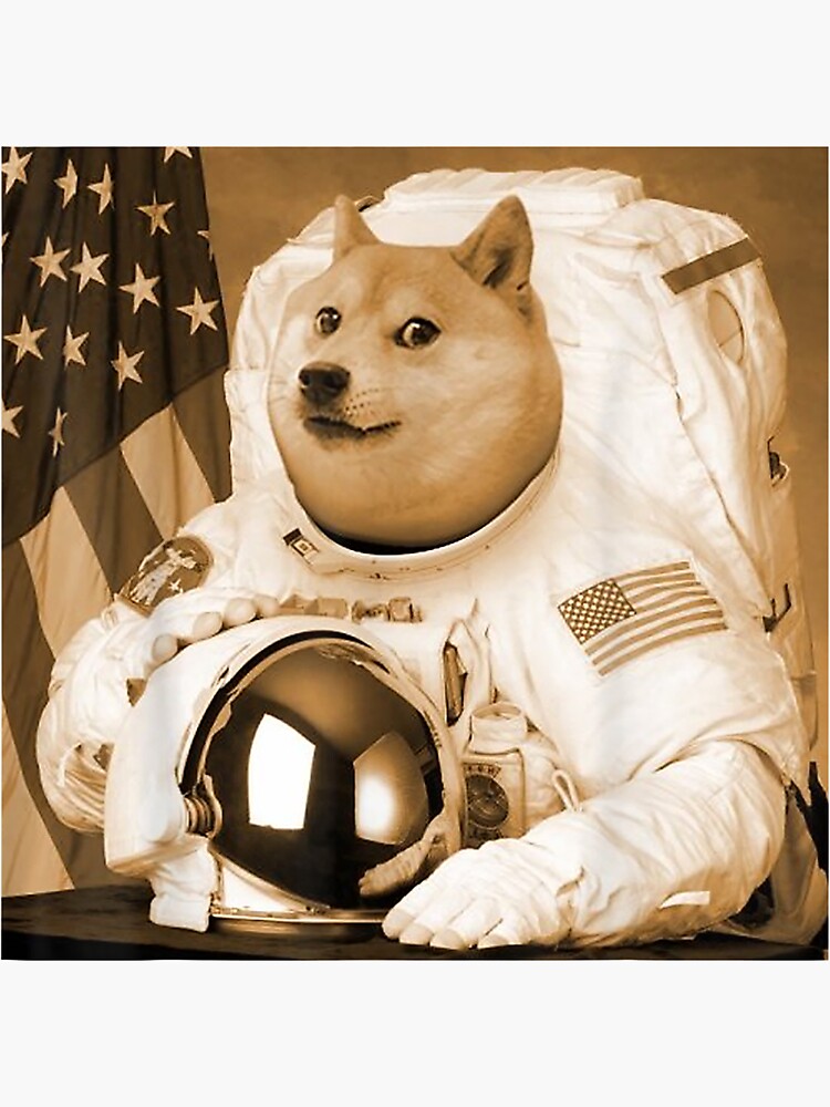 Dogecoin luna ethereum block speed