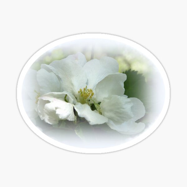 Item preview, Apple Blossom  designed and sold by Elaine Bawden.