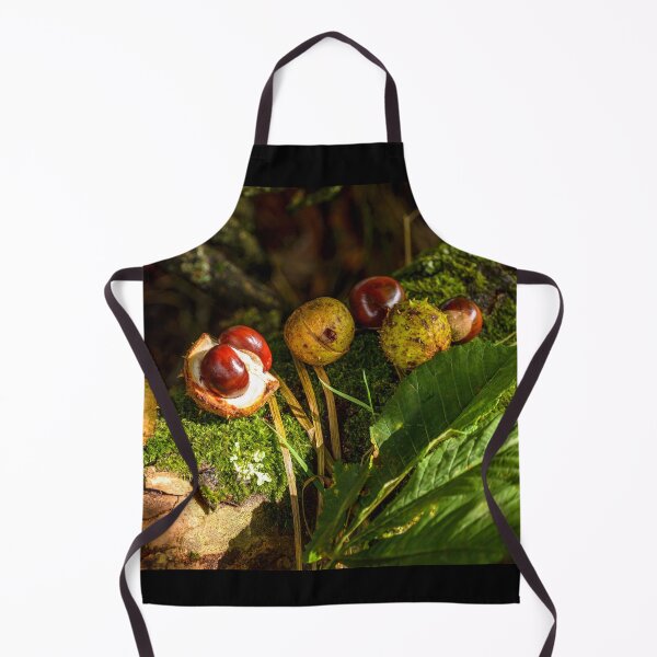 Item preview, Chestnut, conker in autumn forest designed and sold by AlbertMi.