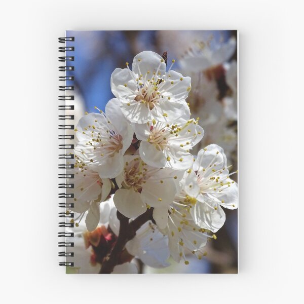 Item preview, Spring Fling designed and sold by Karen  Rubeiz.