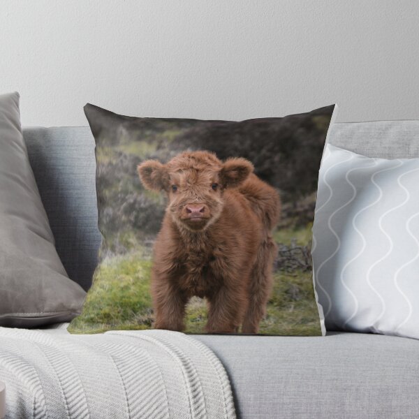 Barb the Pink Highland Cow Pillow Pet