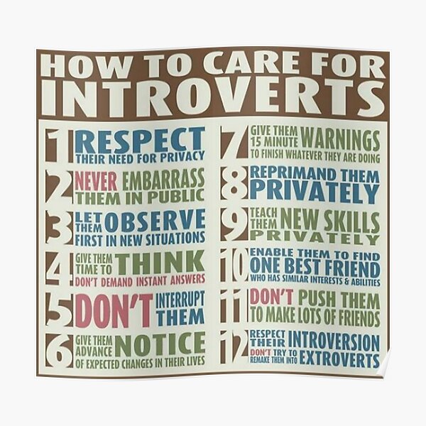 How To Care For Introverts Poster