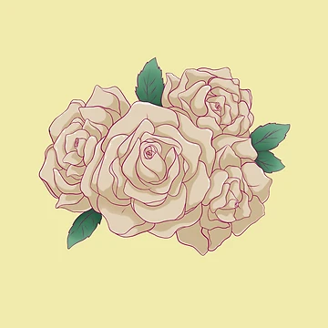 Artwork thumbnail, White rose by Reecevr